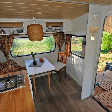 São Teotónio Cosy Nest In Animal Rescue Monte Dos Vagabundos酒店 外观 照片