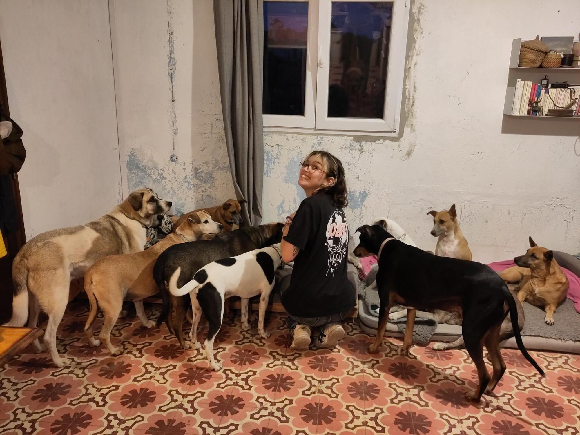 São Teotónio Cosy Nest In Animal Rescue Monte Dos Vagabundos酒店 外观 照片