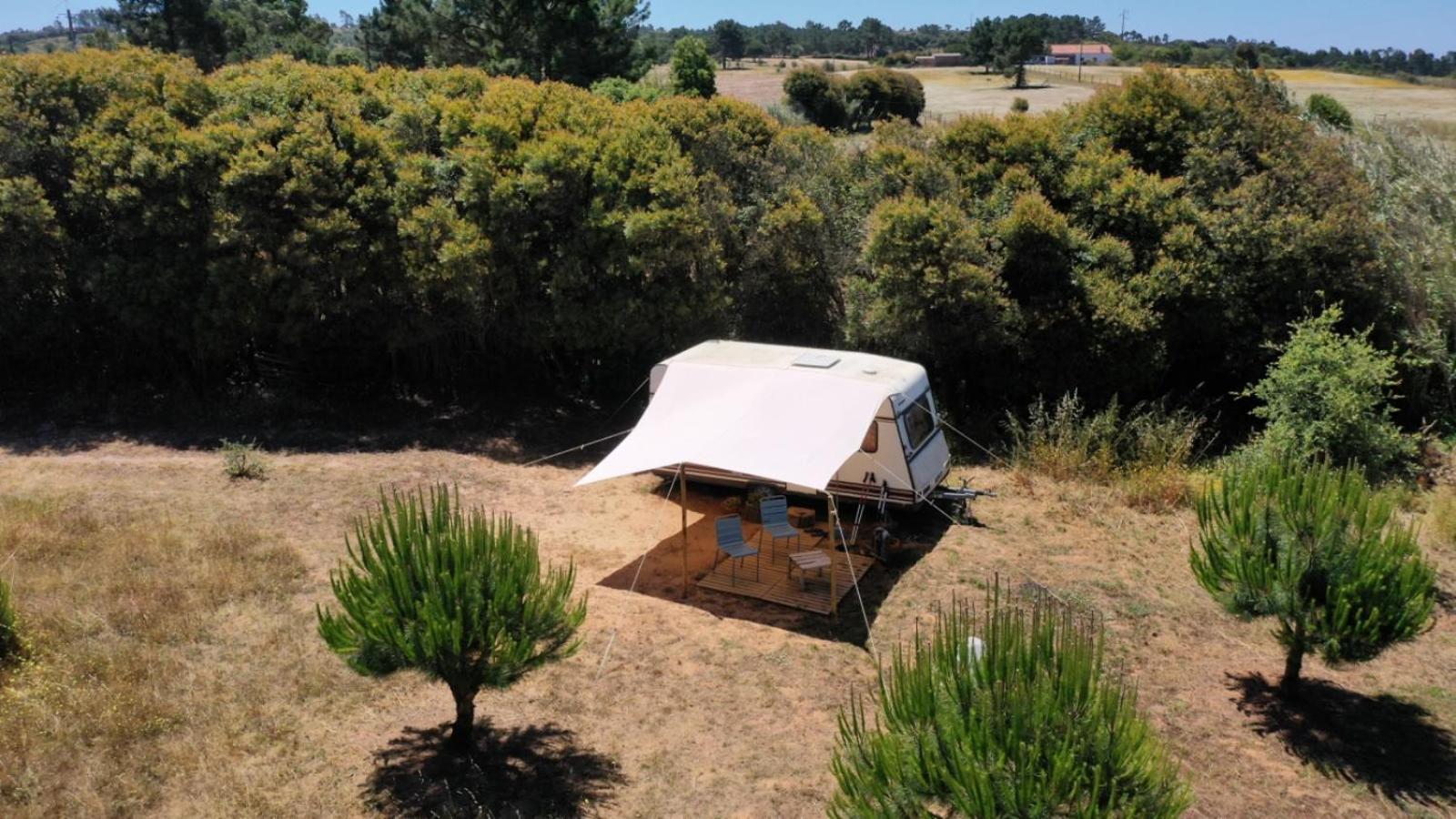 São Teotónio Cosy Nest In Animal Rescue Monte Dos Vagabundos酒店 外观 照片